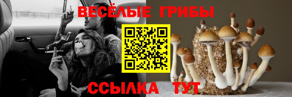 Сегежа  Псилоцибиновые грибы Magic Shrooms  купить наркотики сайты  Вход с VPN 